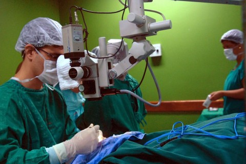 Governo destina R$ 56,3 milhões ao Sistema Nacional de Transplantes